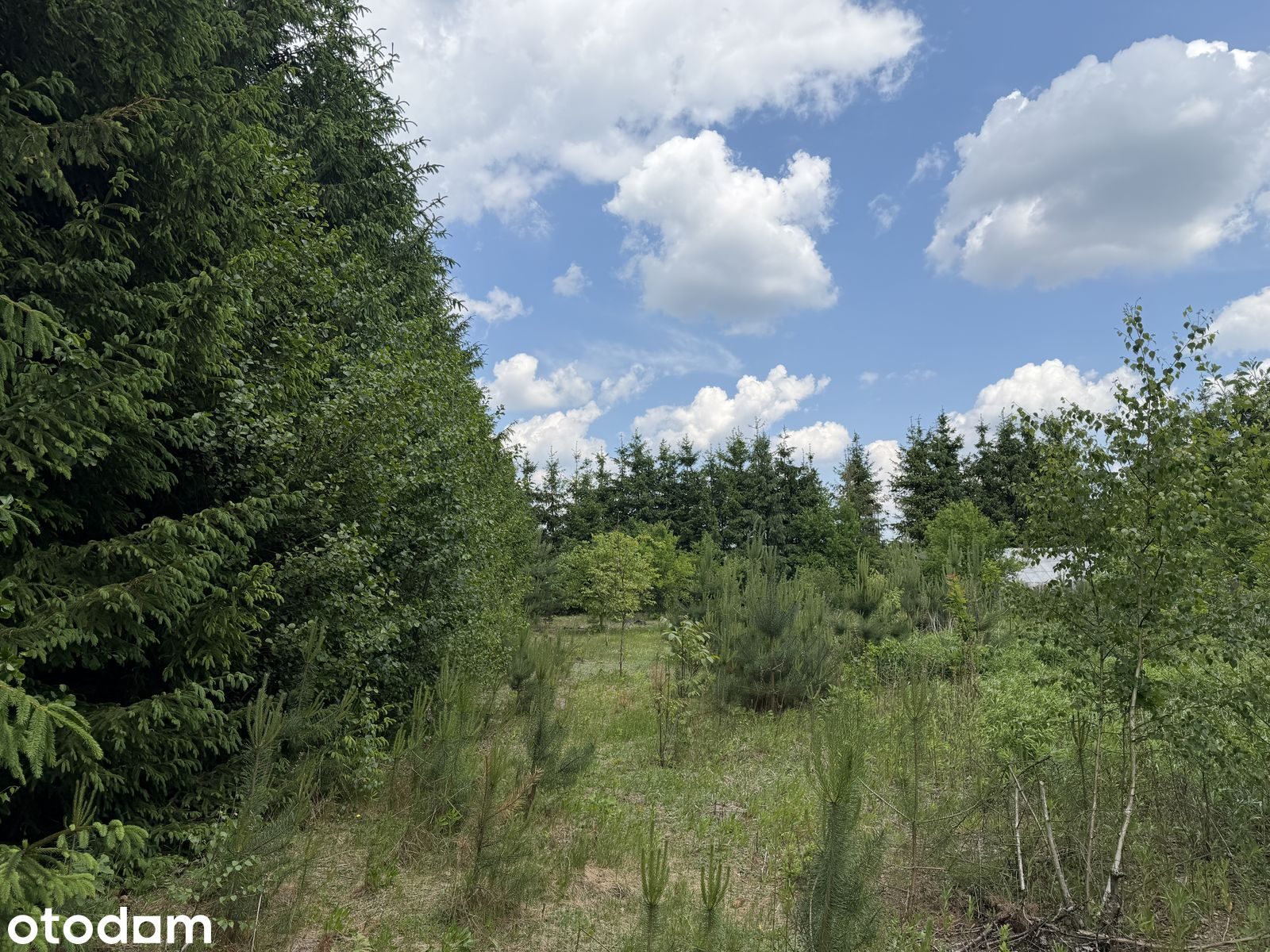 Wyjątkowa działka 2880 m² w prestiżowej lokalizacji – Niemcz – zdjęcie 1