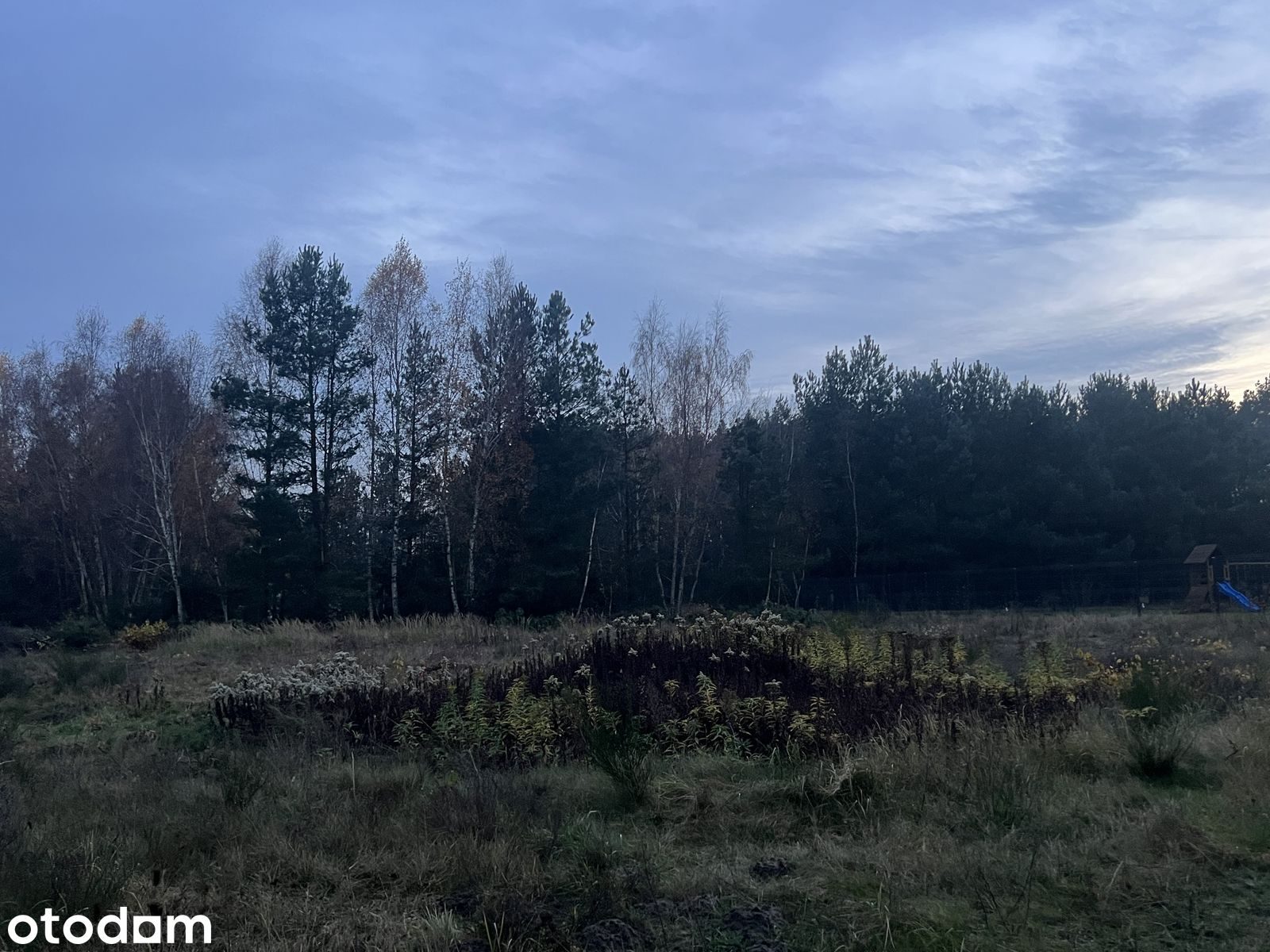 Działka budowlana 1503 m² w Niwach, gmina Osielsko – zdjęcie 1