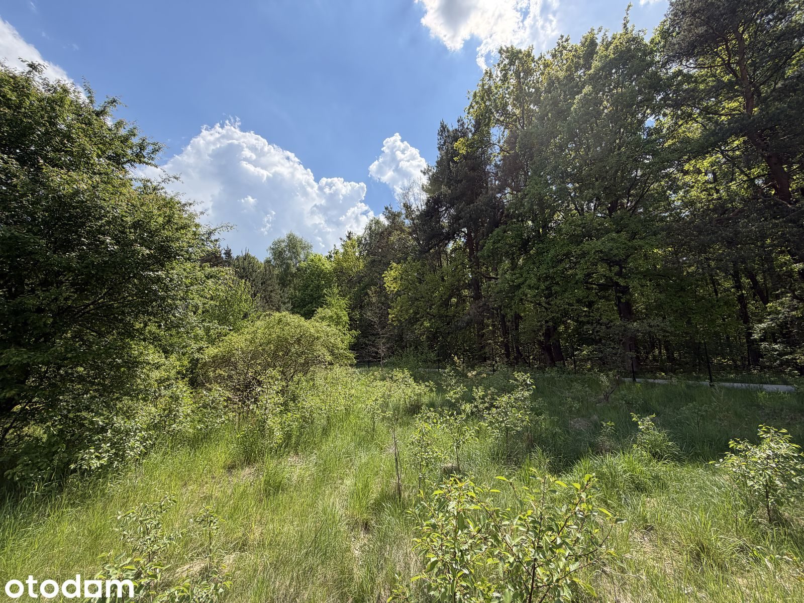 Atrakcyjna działka budowlana 803 m² lub 1606m² Maksymilianowo – zdjęcie 1